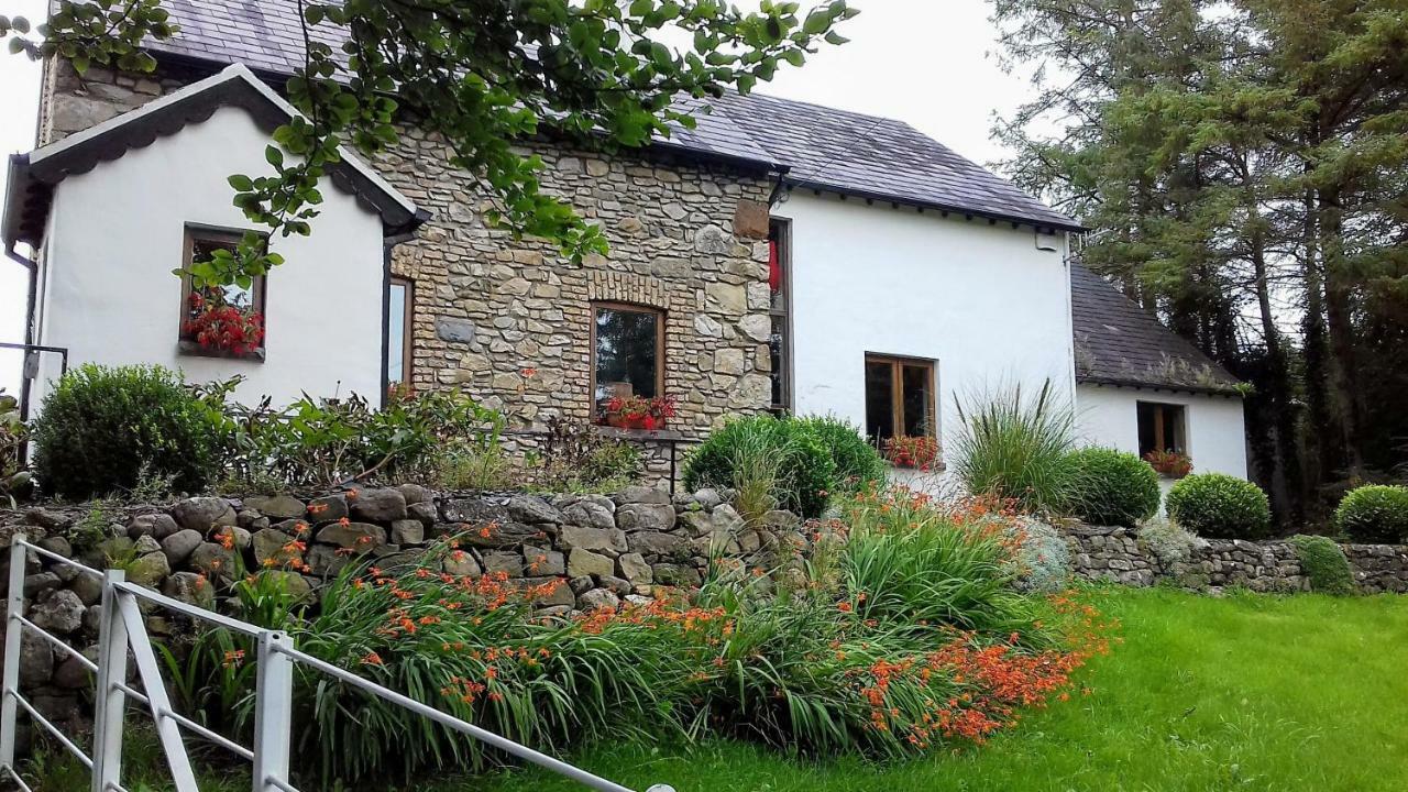 The Village Studio Apartments Moate Exterior photo